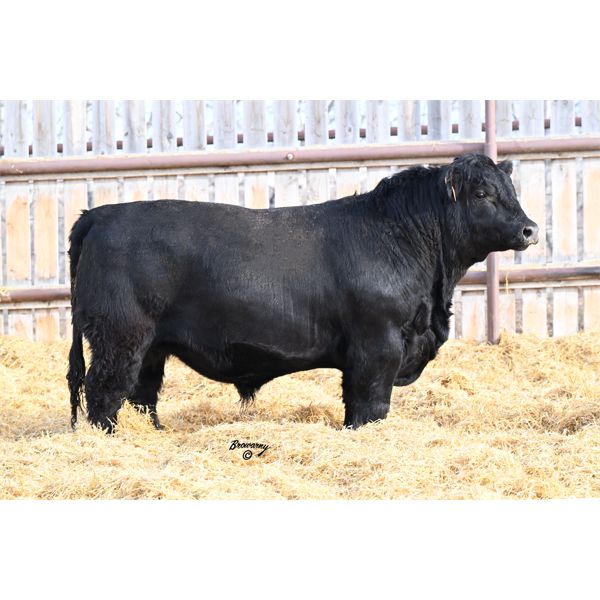 Soder SPRING FEVER 190K