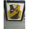 Image 1 : AUSTRALIAN FOOTBALL LEAGUE FRAMED SIGNED JERSEY