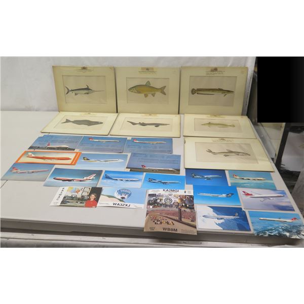 Multiple Fish Unframed Artwork, Airplane Photos, Balloon Postcards, etc