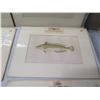 Image 7 : Multiple Fish Unframed Artwork, Airplane Photos, Balloon Postcards, etc