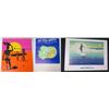 Image 1 : Qty 3 Posters: Island Magic, Endless Summer & Surfrider Print