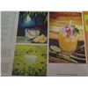 Image 11 : Hawaii Theater Restaurant International Carrefour-Expo '67 Cocktail Menu 22"x15"