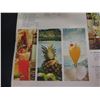 Image 8 : Hawaii Theater Restaurant International Carrefour-Expo '67 Cocktail Menu 22"x15"
