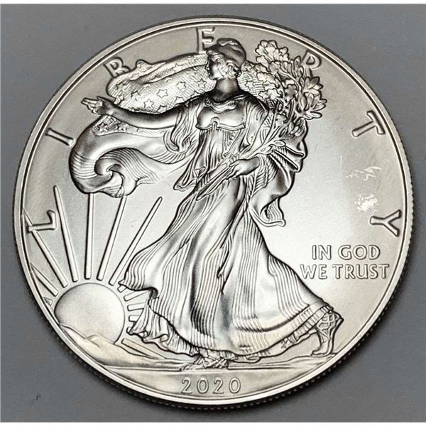 2020 American Silver Eagle