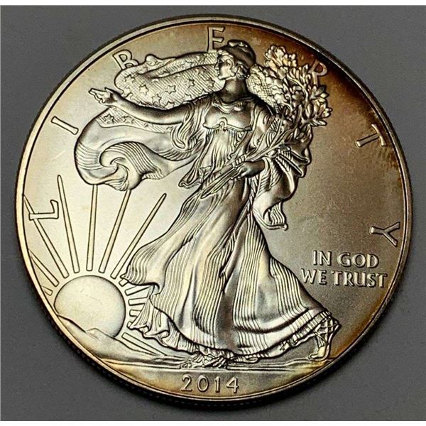 2014 American Silver Eagle