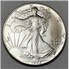 Image 1 : 1986 American Silver Eagle