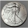 Image 1 : 2021 American Silver Eagle