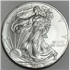 Image 1 : 2009 American Silver Eagle