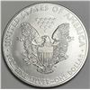 Image 2 : 2009 American Silver Eagle