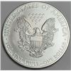 Image 2 : 2009 American Silver Eagle