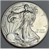 Image 1 : 2011 American Silver Eagle