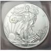 Image 1 : 2015(P) American Silver Eagle MS69