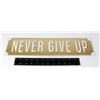 Image 1 : "NEVER GIVE UP" DECORATIVE LICENSE PLATE