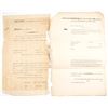 Image 1 : License of Vessel Above 20 Tons (2) 1800s  [63943]