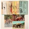 Image 1 : Dinosaurs and Elephant Postcards  [176047]