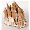 Image 2 : Classic Calcite Stalactite Group Display Specimen   [159239]