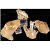 Image 1 : Quartz Crystals Collection (4) RARE   [175273]