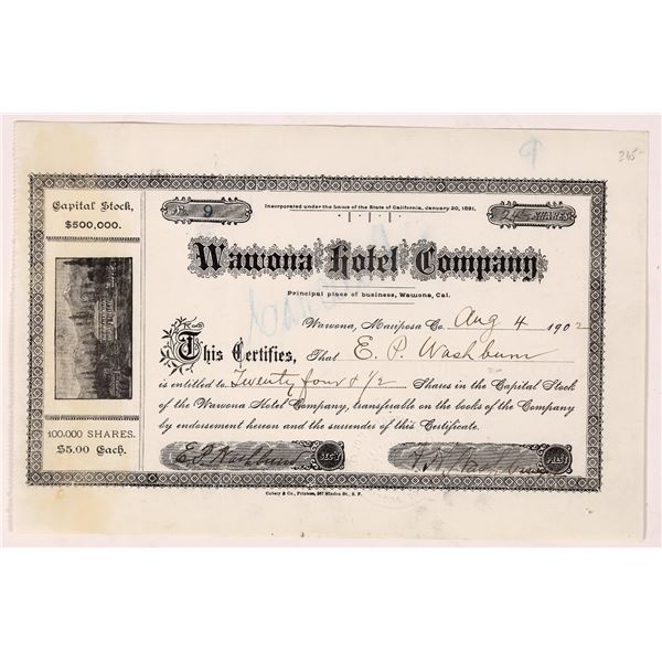 Wawona Hotel Stock, 1902   [174644]