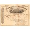 Image 1 : Milwaukee and Minnesota Railroad Co. Stock   [175226]