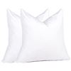 Image 1 : Lot of 1 Twin Pack of Pure Down Throw Pillow Inserts