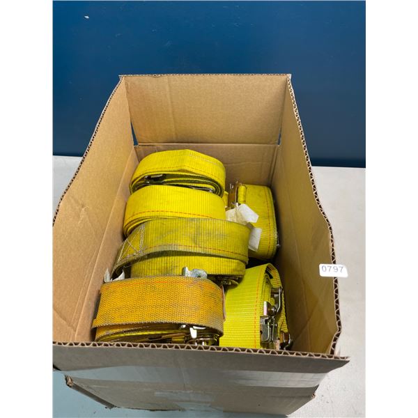 Lot of 10 Ratchet Straps - Used