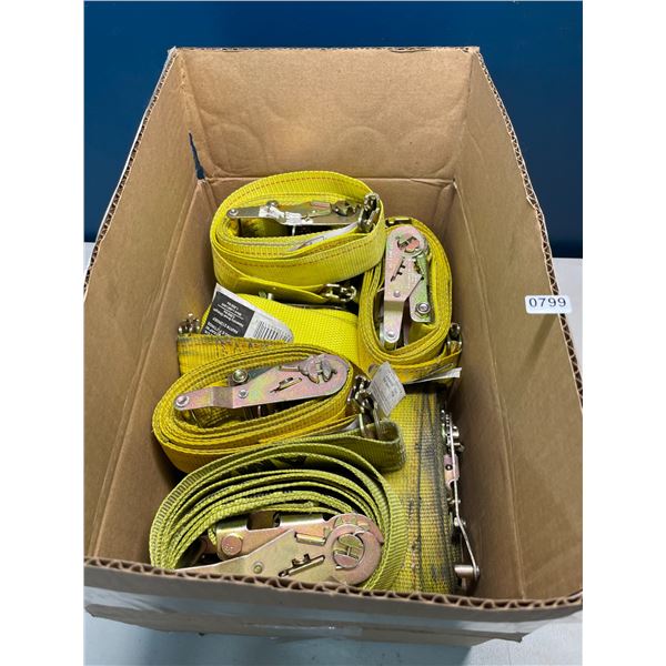 Lot of 10 Ratchet Straps - Used