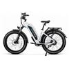 Image 1 : All Terrain Step Thru Electric Bike Cruiser ST