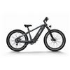 Image 1 : Himiway Premium All-terrain Electric Fat Bike Zebra