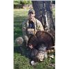 Image 1 : 4-day, 4-person, Eastern Turkey hunt (one per hunter)