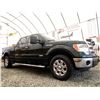 Image 8 : F5--2014 FORD F150 XLT SUPERCREW, BLACK, 291,380KMS