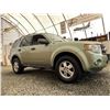 Image 8 : D1 --  2008 FORD ESCAPE XLT, Green, 250862 KM