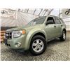 Image 1 : D1 --  2008 FORD ESCAPE XLT, Green, 250862 KM