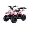 Image 1 : 604--Blazer 110B ATV Gas Pink Camo