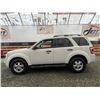 Image 23 : A8 --  2009 FORD ESCAPE XLT AWD, White, 259845 KM