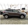 Image 11 : C6F --  2016 FORD ESCAPE SE AWD , Grey, 228303