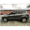 Image 23 : C6F --  2016 FORD ESCAPE SE AWD , Grey, 228303