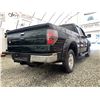 Image 14 : F6A --  2012 FORD F150 SUPER CAB 4X4, Green, 224623 KM