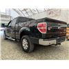 Image 20 : F6G --  2014 FORD F150 SUPERCREW 4X4, Green, 291,522 KM