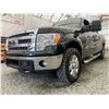 Image 2 : F6G --  2014 FORD F150 SUPERCREW 4X4, Green, 291,522 KM