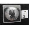 Image 1 : One troy ounce; 2022  .9999% pure silver Canadian Maple Leaf bullion coin with security