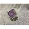 Image 2 : AMETHYST ROUGH POINT RETAIL $489