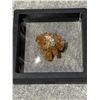 Image 3 : ARAGONITE SPECIMEN RETAIL $600