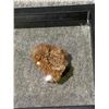 Image 3 : ARAGONITE SPECIMEN RETAIL $400