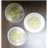 Image 2 : Lot of 3 Canadian toonies (1945-2020 victory , 2006 polar bear (non-colored), 2017 northern lights (