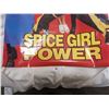 Image 3 : Spice Girls power poster - 24"x36"