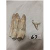 Image 4 : Shark and large Dino tooth - 4"