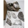 Image 2 : Box of misc fossils and crystals (quartz)