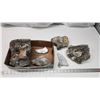 Image 3 : Box of Fossils and some crystal (quartz)