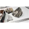 Image 4 : Box of Fossils and some crystal (quartz)