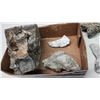 Image 5 : Box of Fossils and some crystal (quartz)